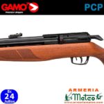 Carabina Gamo Riser